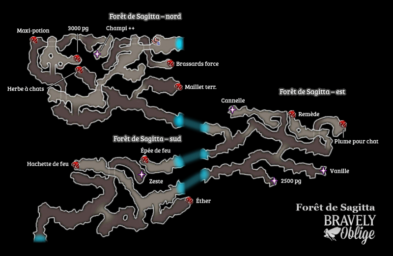 Cartographie - Forêt de Sagitta